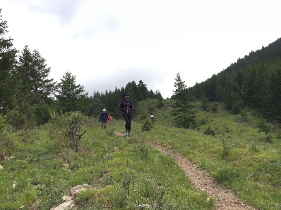 微信图片_20170605125639