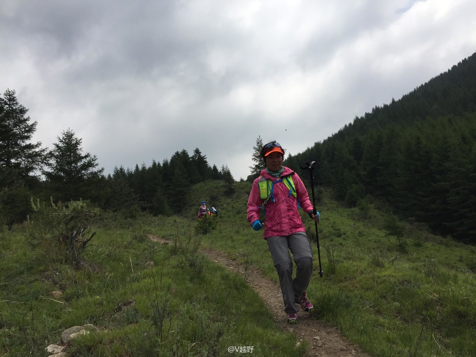 微信图片_20170605125700