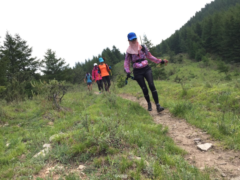 微信图片_20170605125707