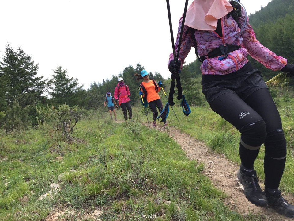 微信图片_20170605125714