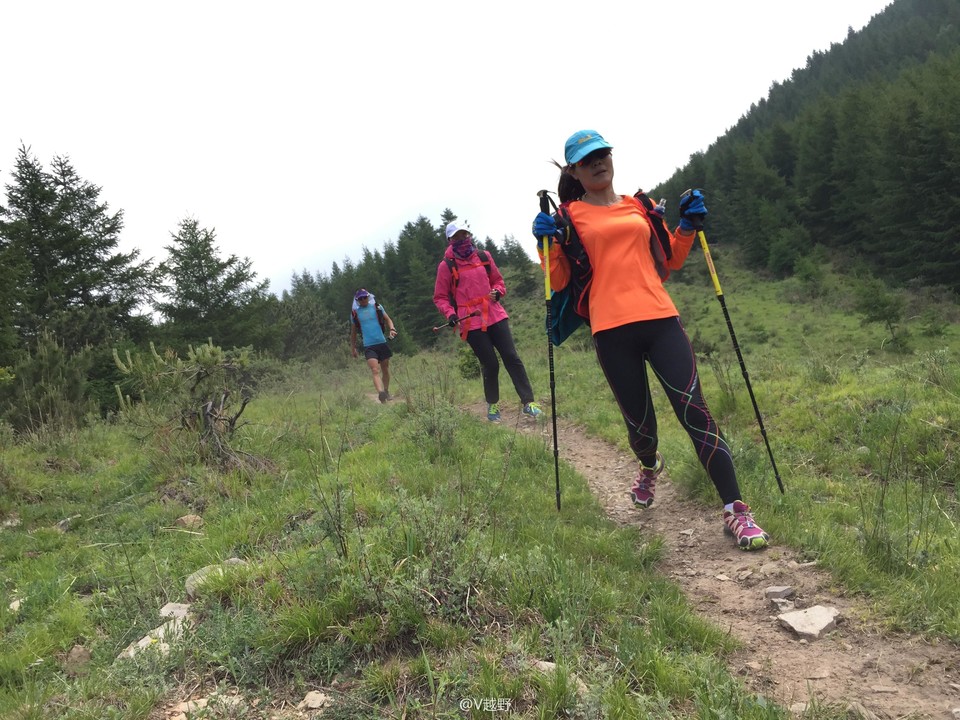 微信图片_20170605125721