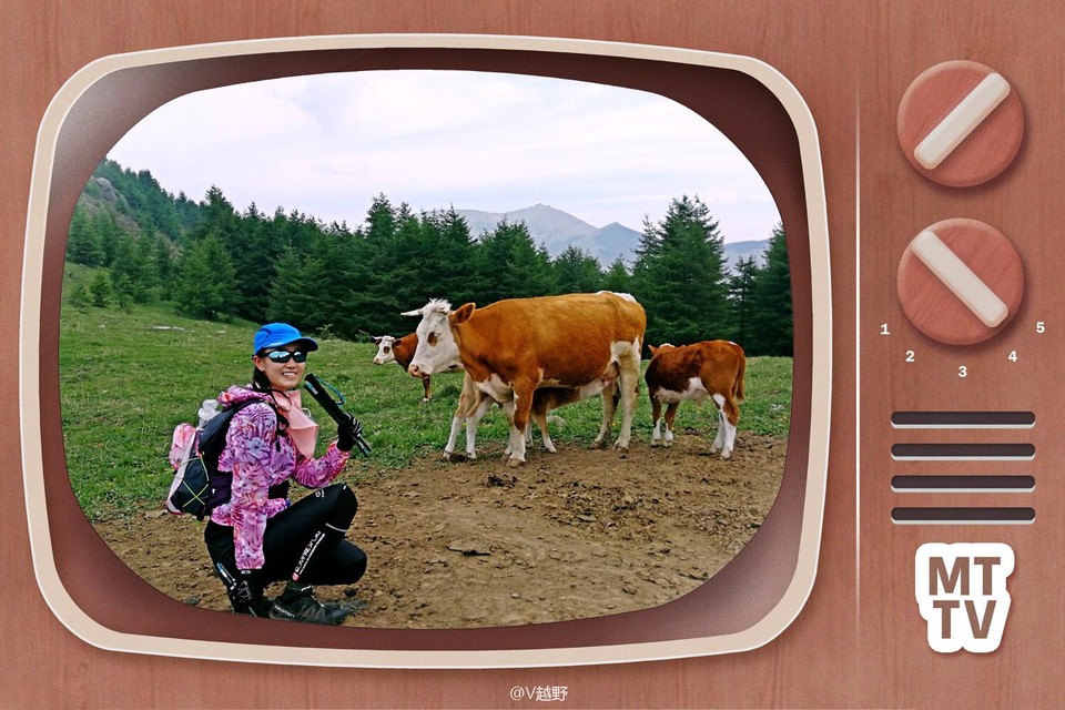 微信图片_20170605125742