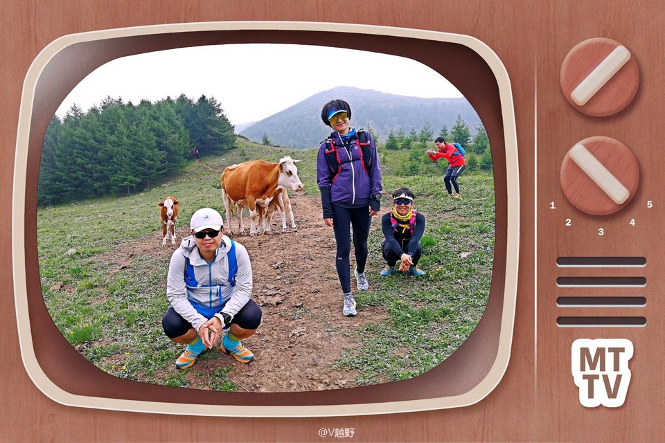 微信图片_20170605125805