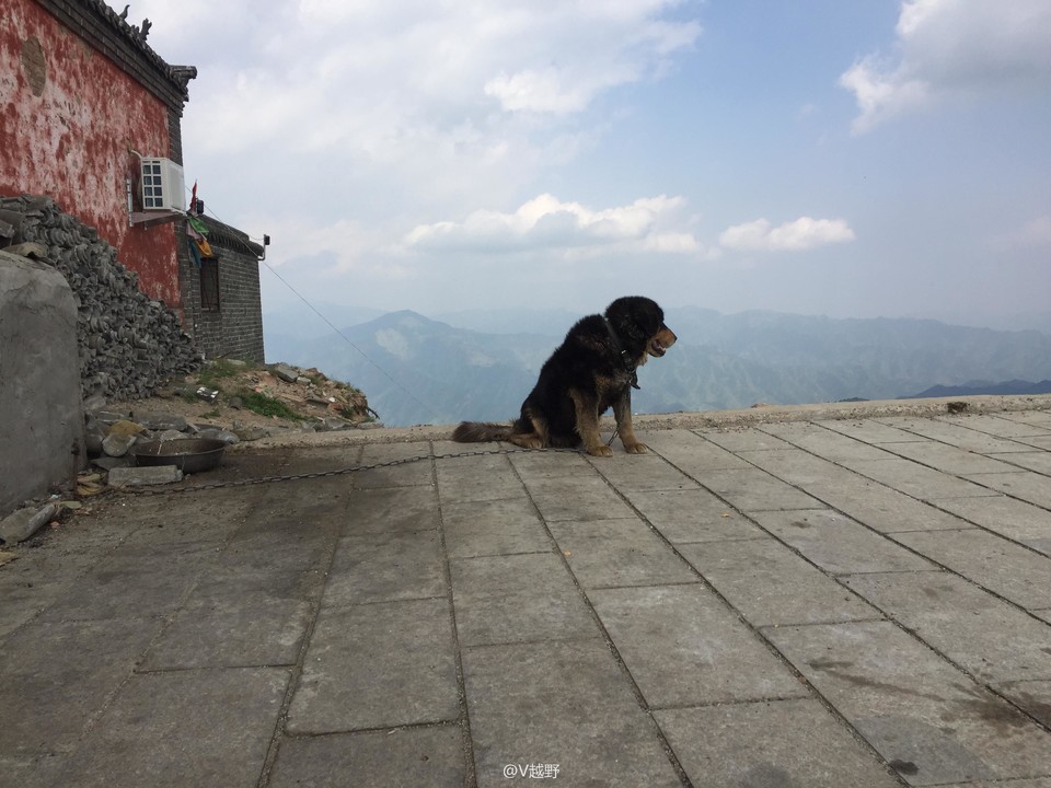 微信图片_20170605125825