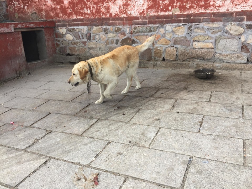 微信图片_20170605125831