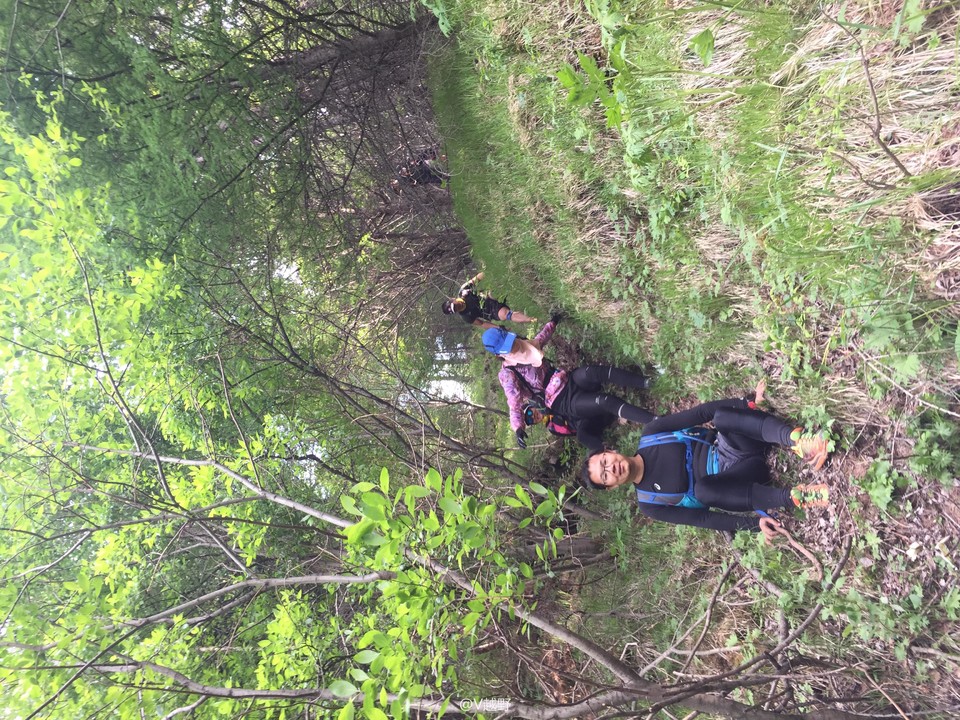 微信图片_20170605125850