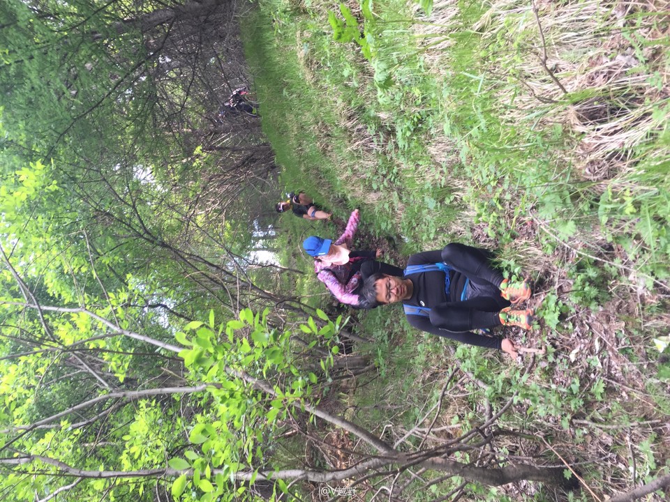 微信图片_20170605125857