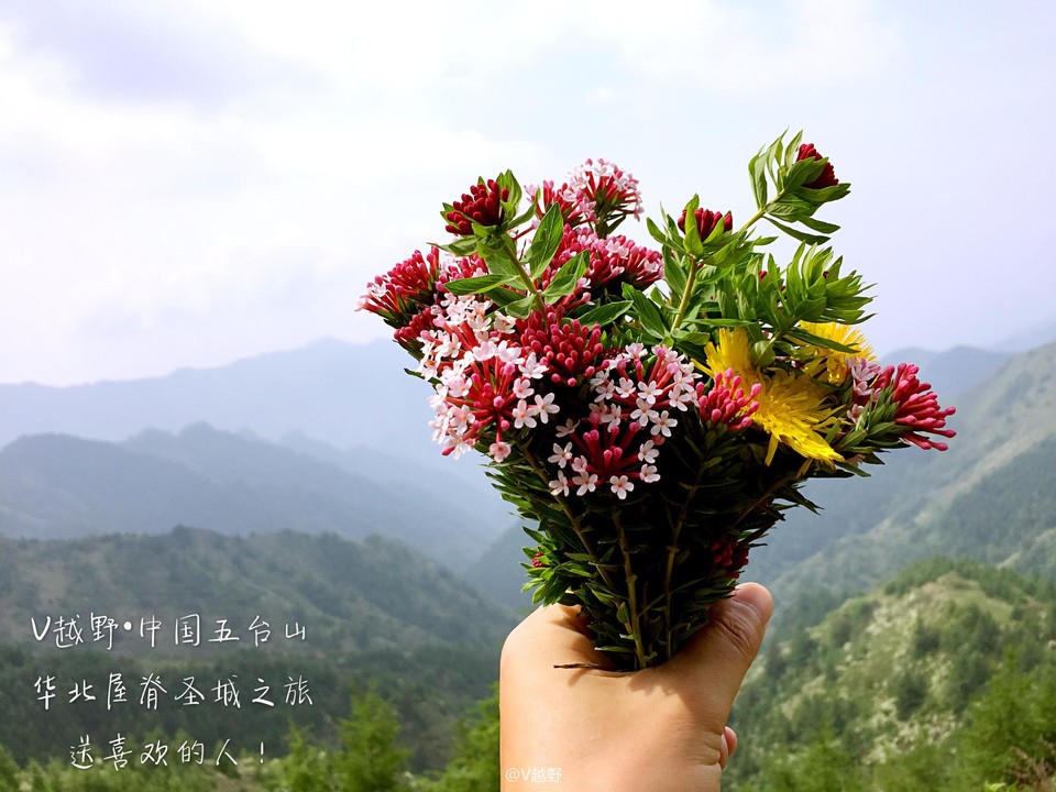 微信图片_20170605125944