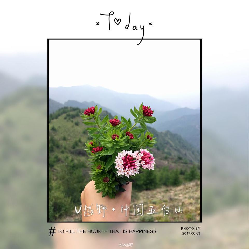 微信图片_20170605125950