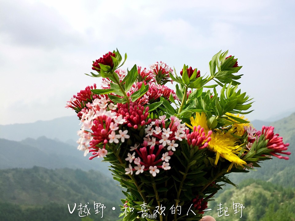 微信图片_20170605125956