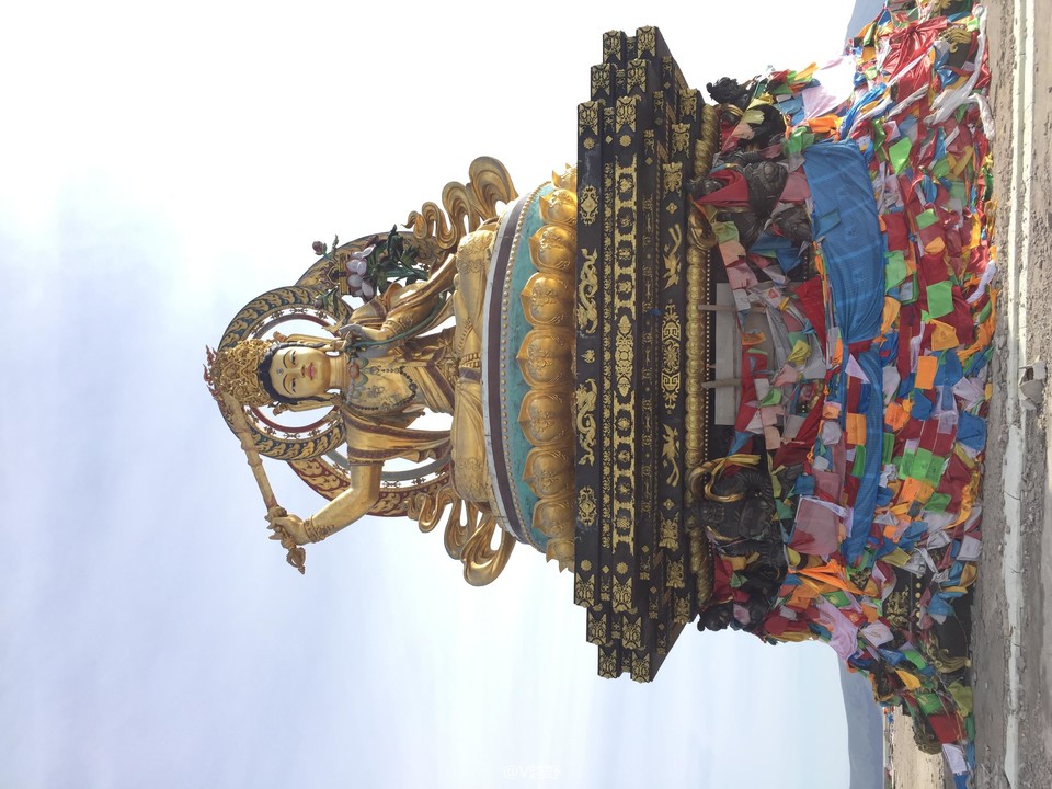 微信图片_20170605130305