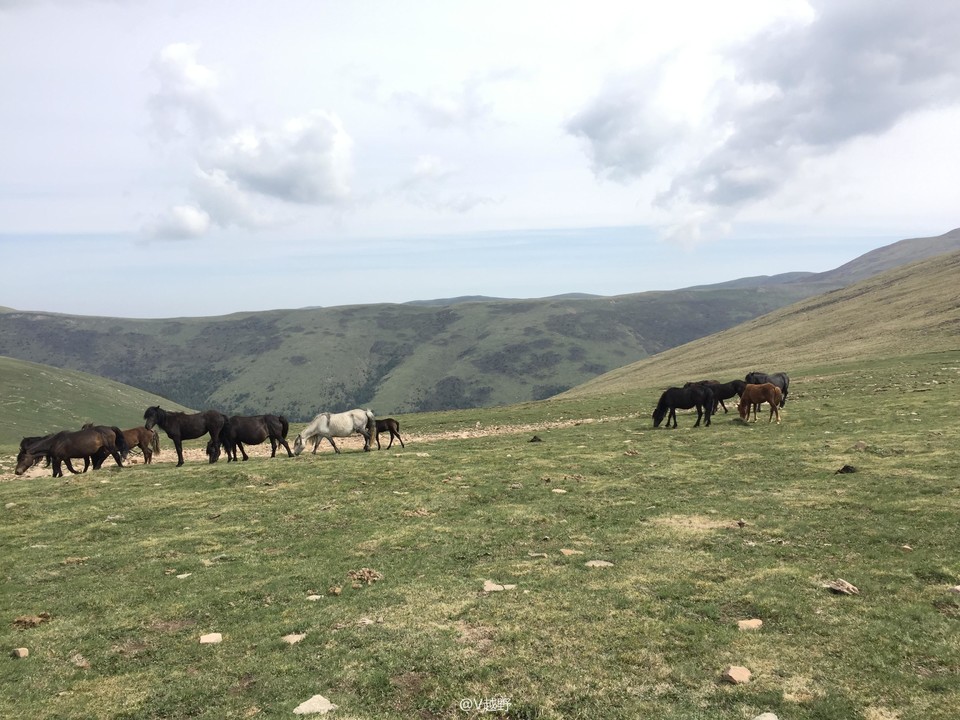 微信图片_20170605130429