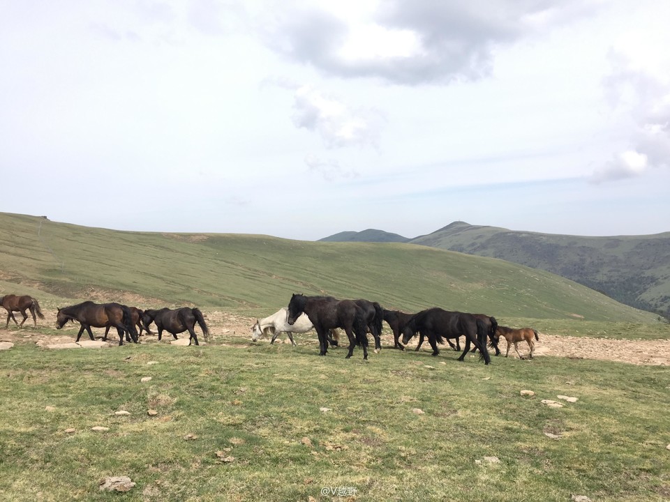 微信图片_20170605130435