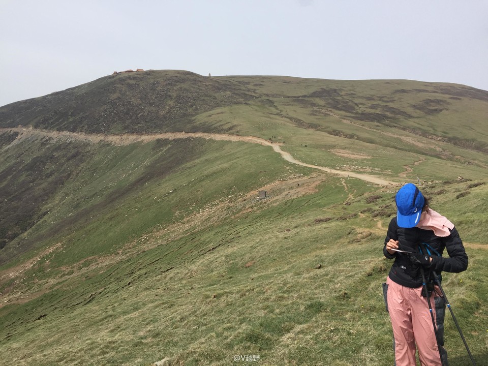 微信图片_20170605130455