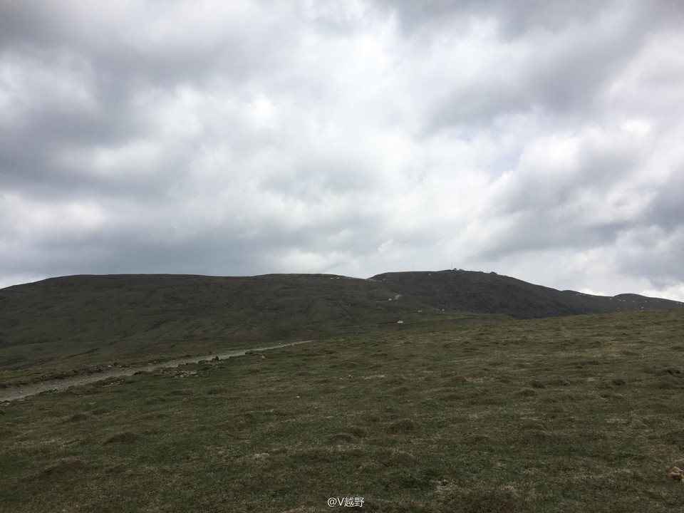 微信图片_20170605130508