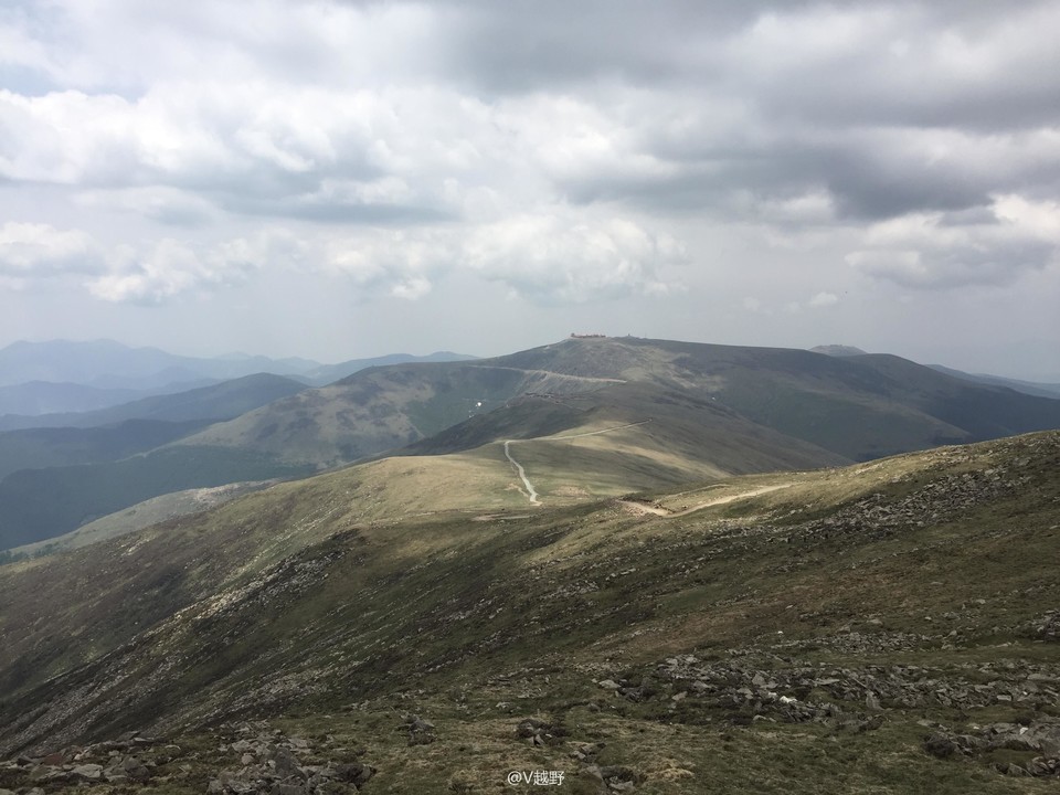 微信图片_20170605130534