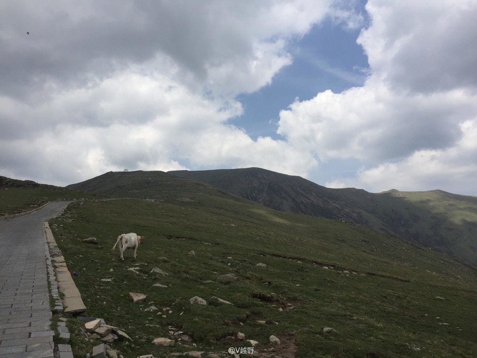 微信图片_20170605130741