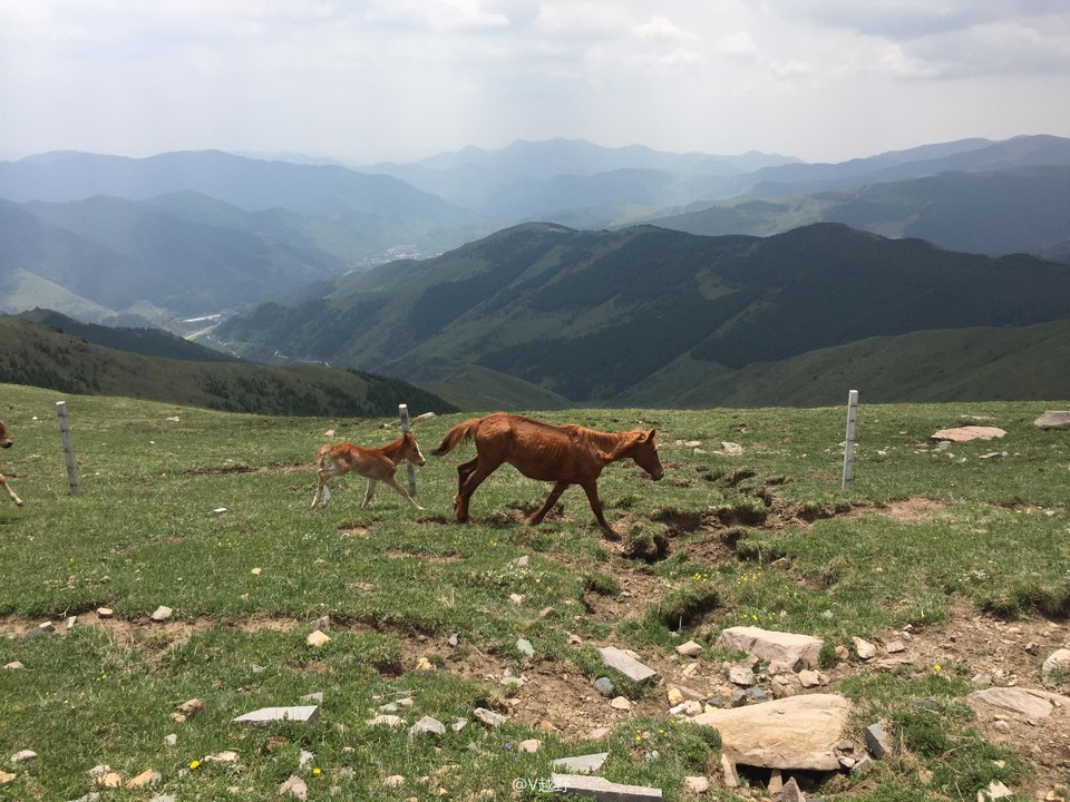 微信图片_20170605130805