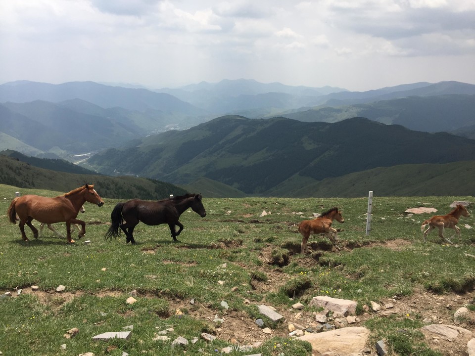 微信图片_20170605130812