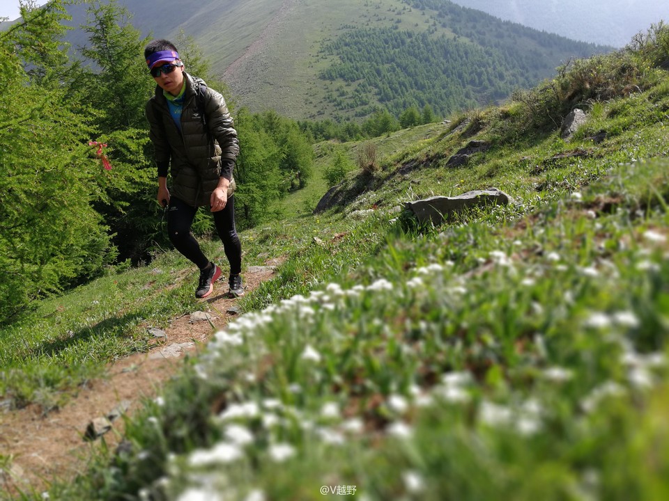 微信图片_20170605130915