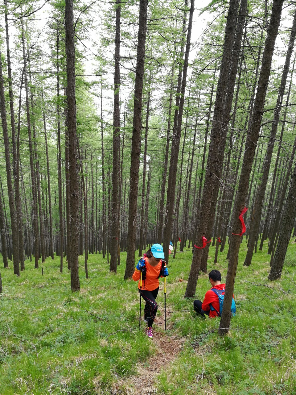 微信图片_20170605131120