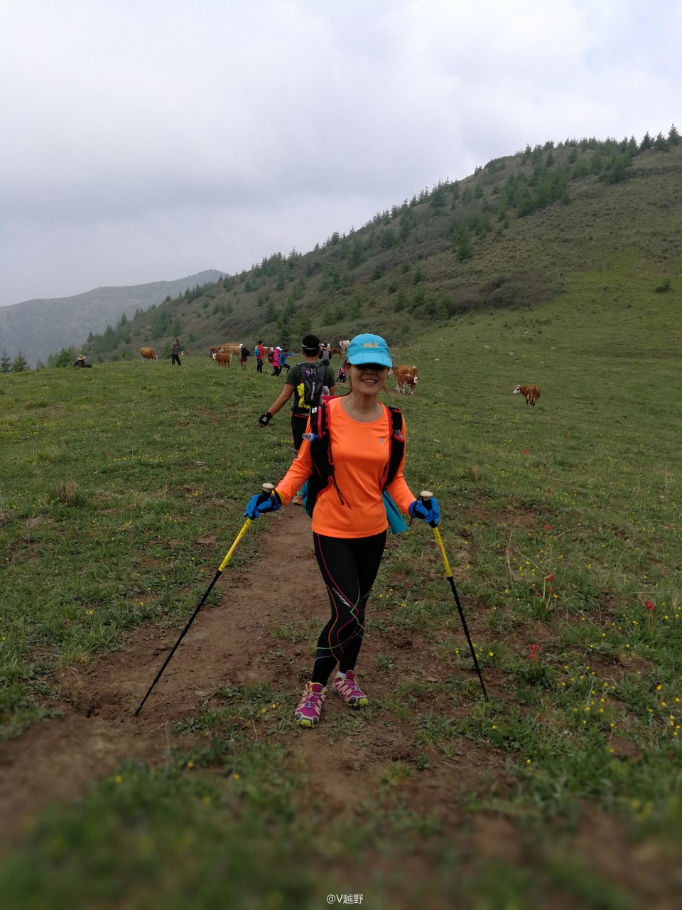 微信图片_20170605131132