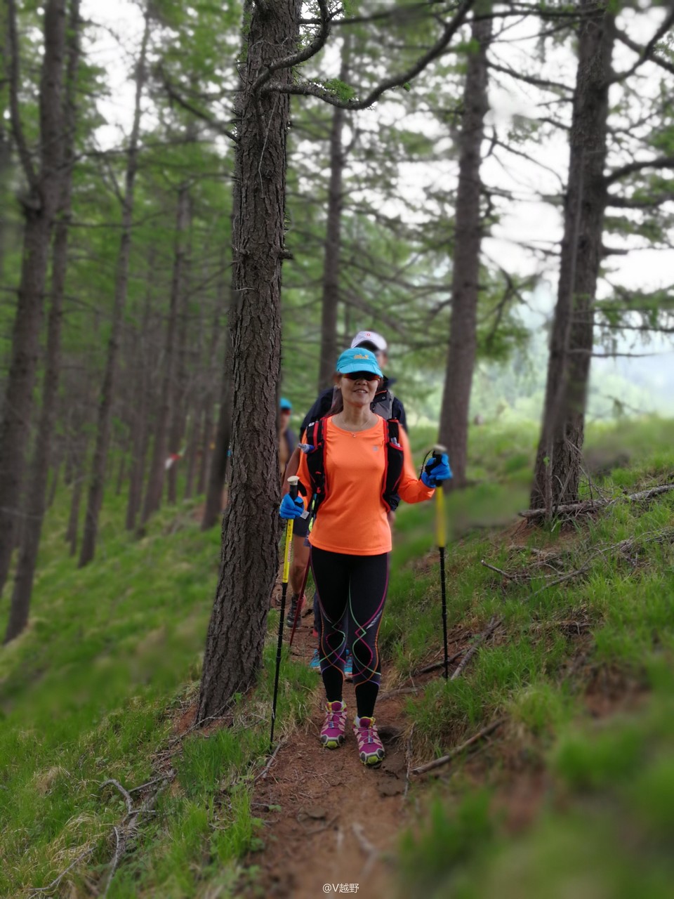 微信图片_20170605131139