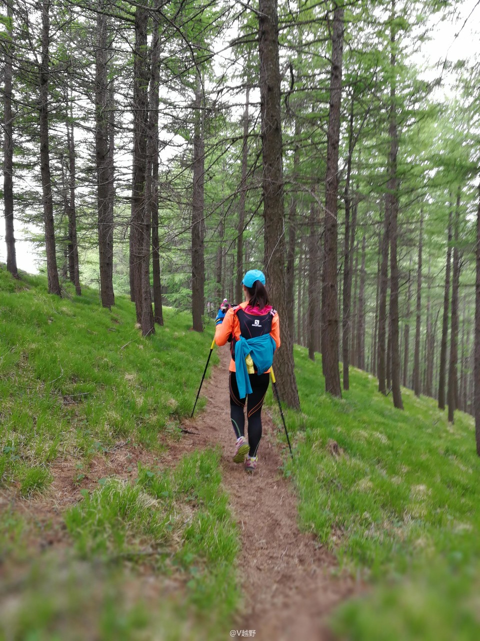 微信图片_20170605131148