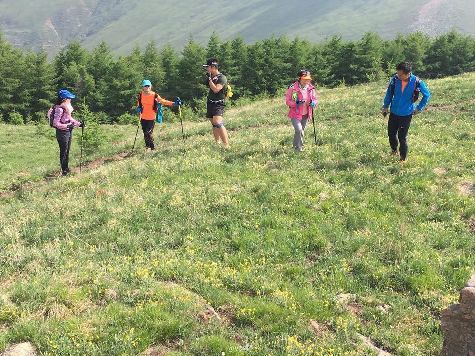 微信图片_20170605131225