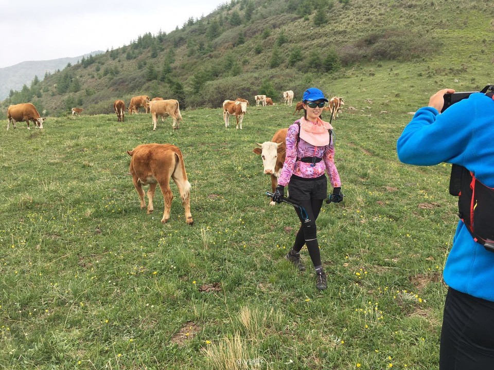 微信图片_20170605131231