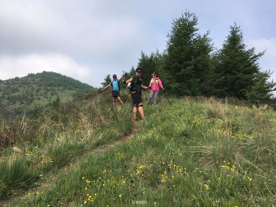 微信图片_20170605131248