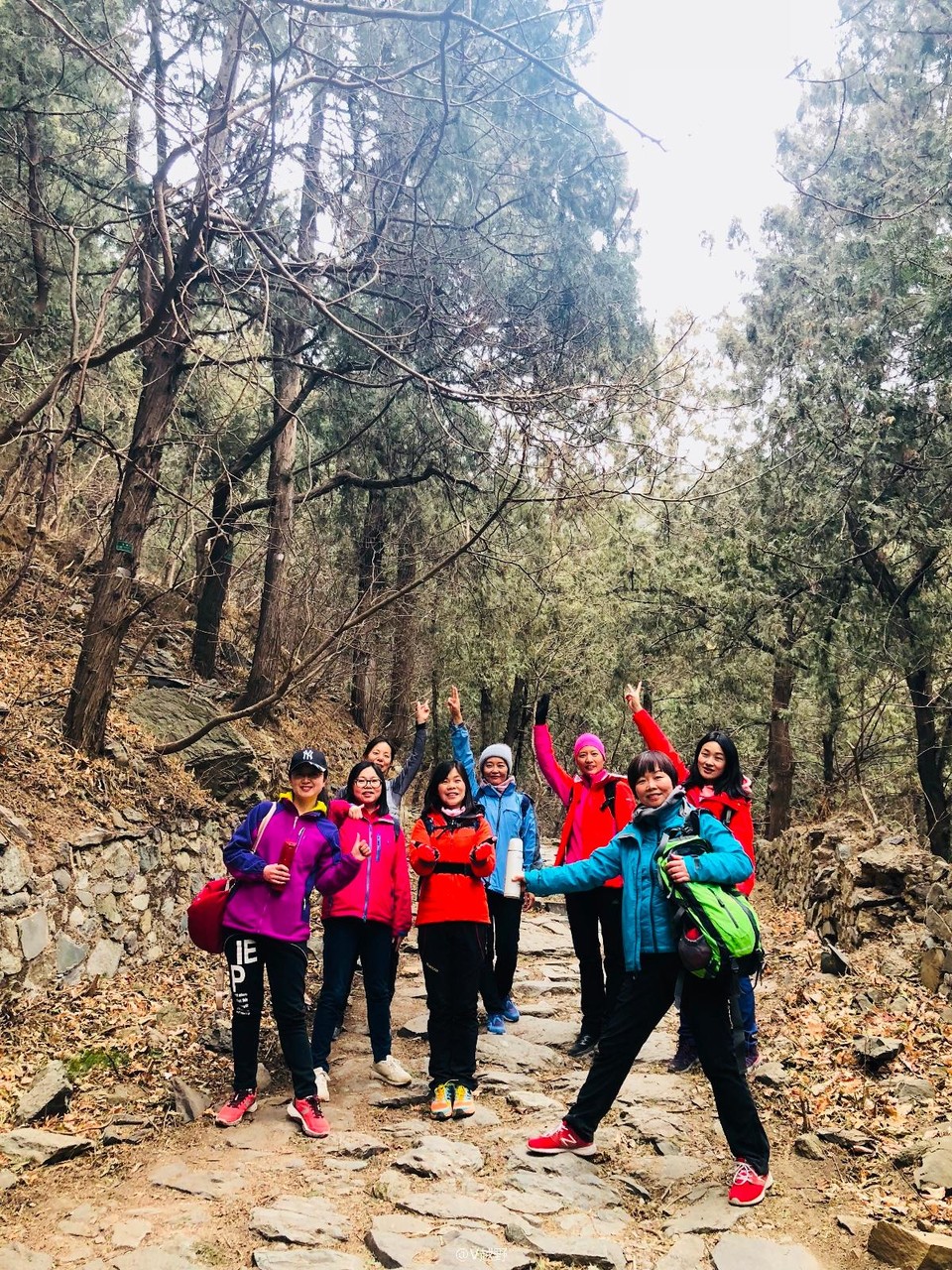 ED1DB769-C088-46FF-BBFC-416AF3D80788