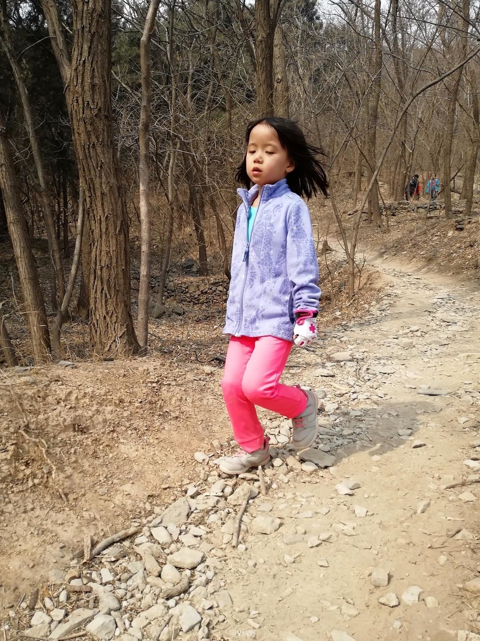 IMG_20180303_112911_1