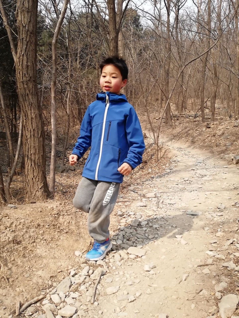 IMG_20180303_112441_1