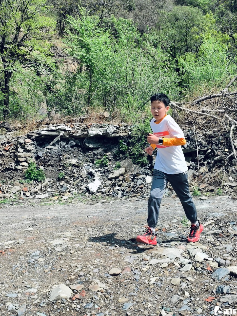 06abf78d9063ba026d3e1c1bda229d21