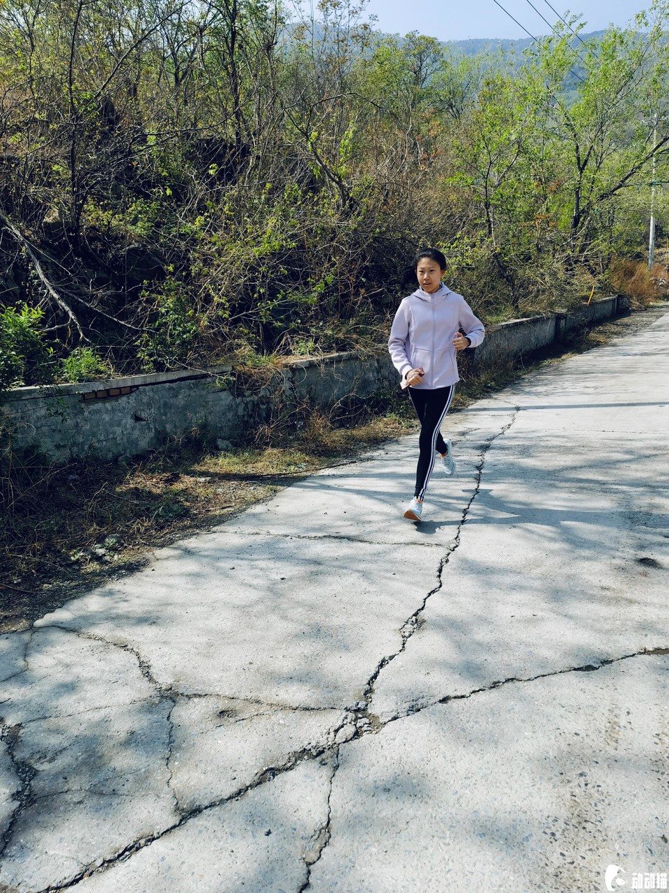 b2726dd062b5dedc1a44d57e644f95dd