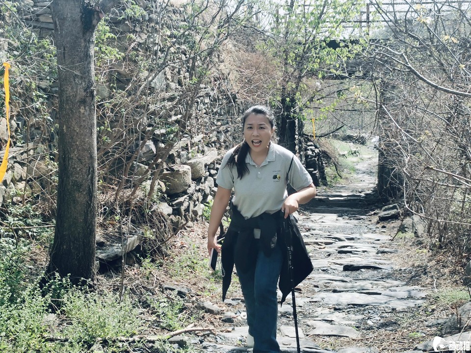 20f5ca2697990a1eb1f7ccbe015e6064