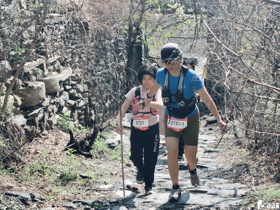 53e04e30d4d641678d862401c532b71d