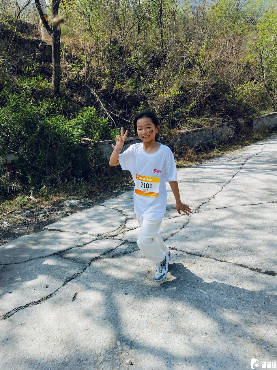 8fab81e62c32f2efcb211b6ba32811e5