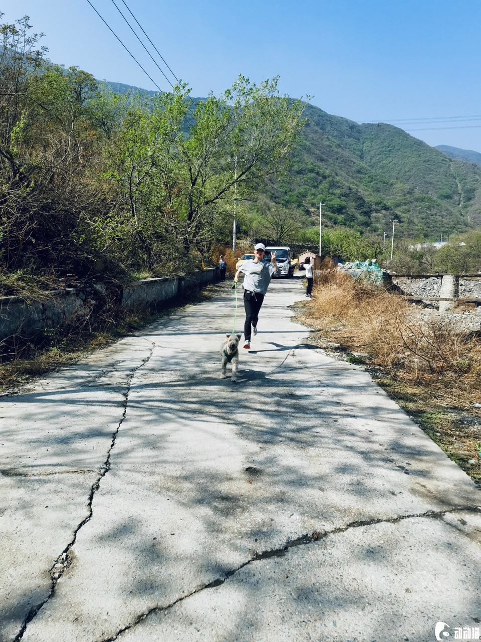 5a5d069864408cff0c8fad28425e32c8