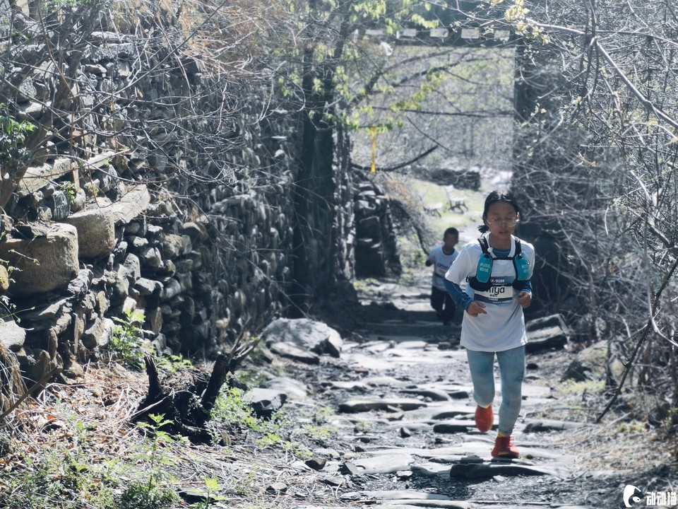 8078aa2fcfaa94cc01dc5e6f1b32154c