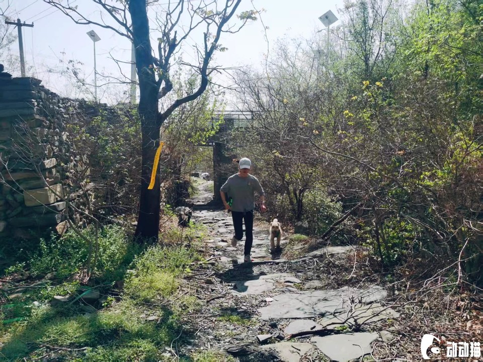 6ed929ad097a0a6d298eb6a58715acc5