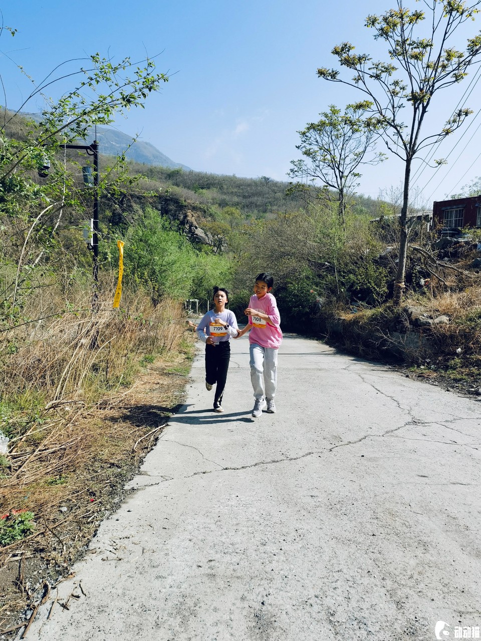 8a53431dd79df9cb47d2b8a4f86a4d94