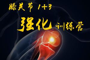 膝关节1+3强化训练营