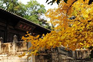 V越野冬训营第一站-北京大觉寺