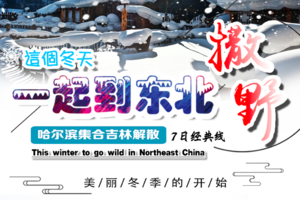 【穿越雪原】唯野带你  雪谷 雪乡 长白山 雾凇岛七日之旅