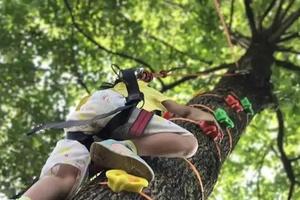 攀树|与大树的亲密接触