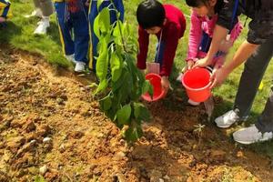 植树节主题活动—春日小园丁亲子植树农耕体验