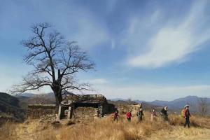 【会员专属报名链接】穿越千年古迹 寻觅仙境奇观-潭王古道冰瀑环穿