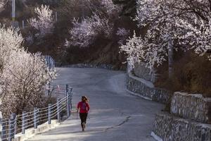 2024凯乐石FUGA训练赛-北京站